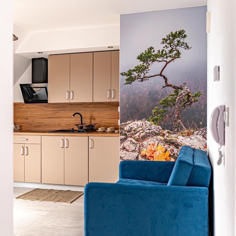 Velo Apartamenty チョルシュティン エクステリア 写真